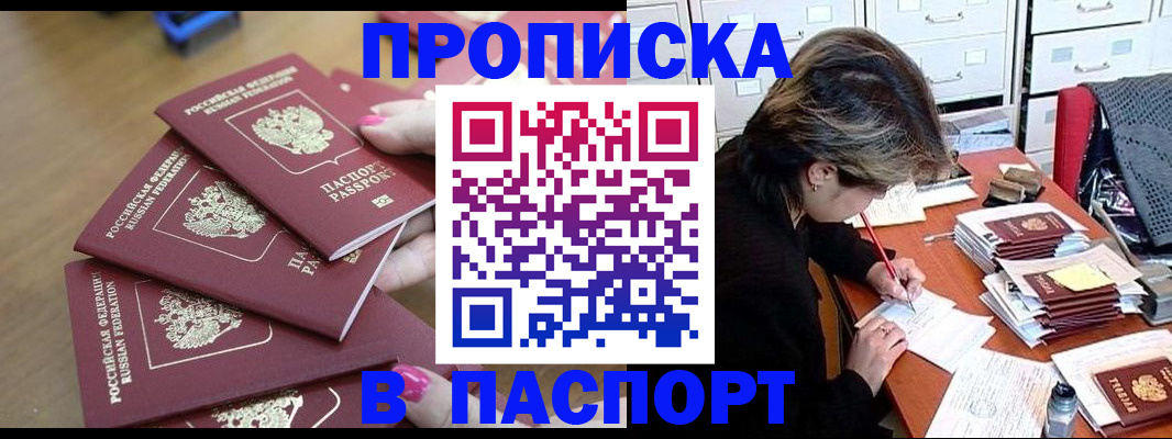 прописка штамп в Мончегорске